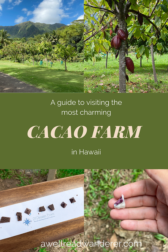 21 degrees estate hawaii cacao farmhidden gems of oahuoahu chocolate farm