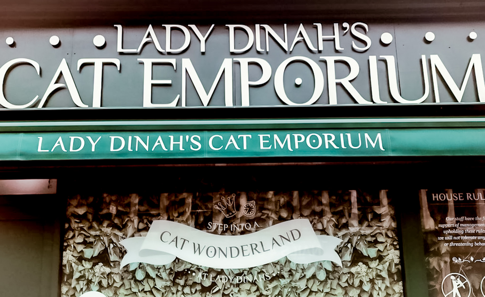 Enjoy tea and treats with cats at Lady Dinah's in London. Image by Catrina of 24 Hours Layover unique afternoon tea london themed afternoon tea london sketch tea london cat tea lady dinah