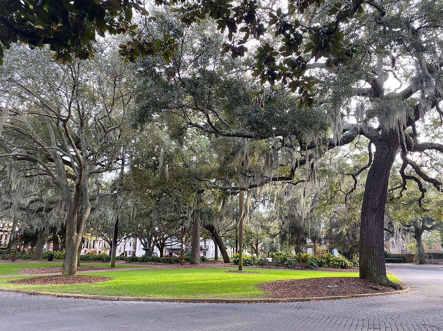 Savannah Georgia itinerary things to see literary sites book lovers indie bookstores