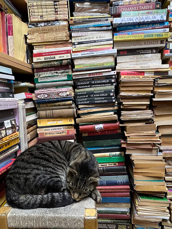 Istanbul book bazaar secondhand book bazaar where to buy English books in Istanbul Sahaflar Carsisi turkey cats