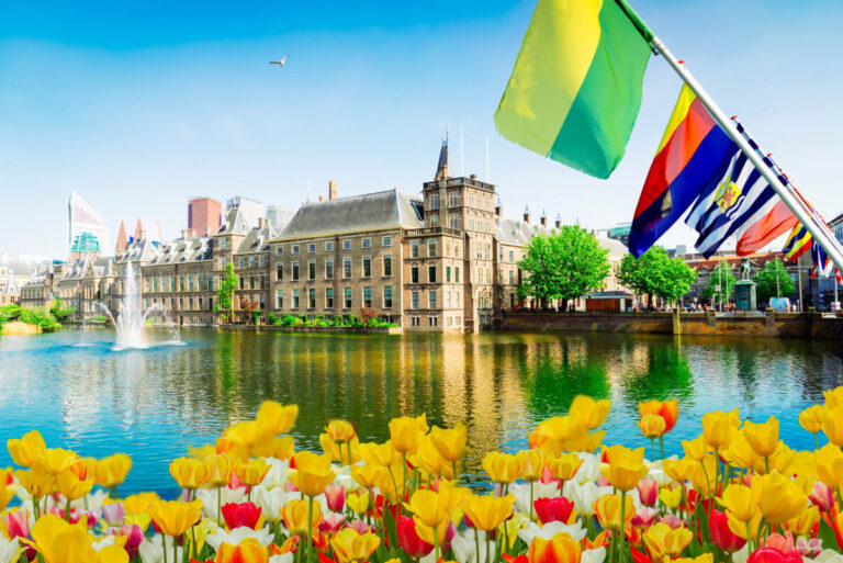 tulips and international flags in foreground with the sea in midground and the parliament buildings of the hague in the background